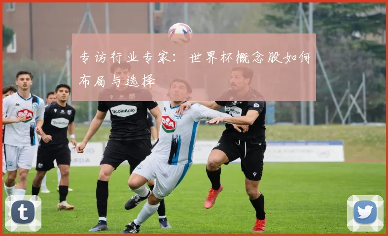 专访行业专家:世界杯概念股如何布局与选择