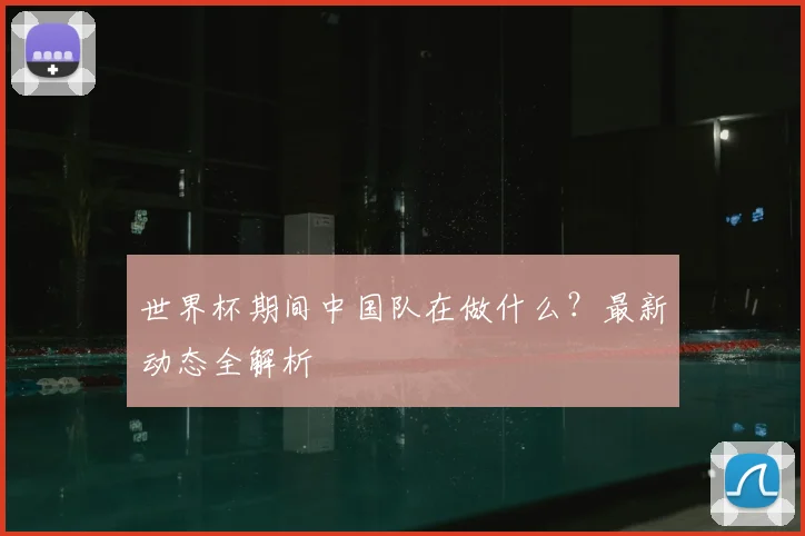 世界杯期间中国队在做什么?最新动态全解析
