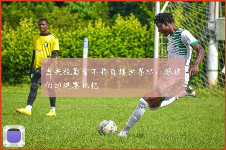 当央视影音不再直播世界杯,球迷们的观赛记忆