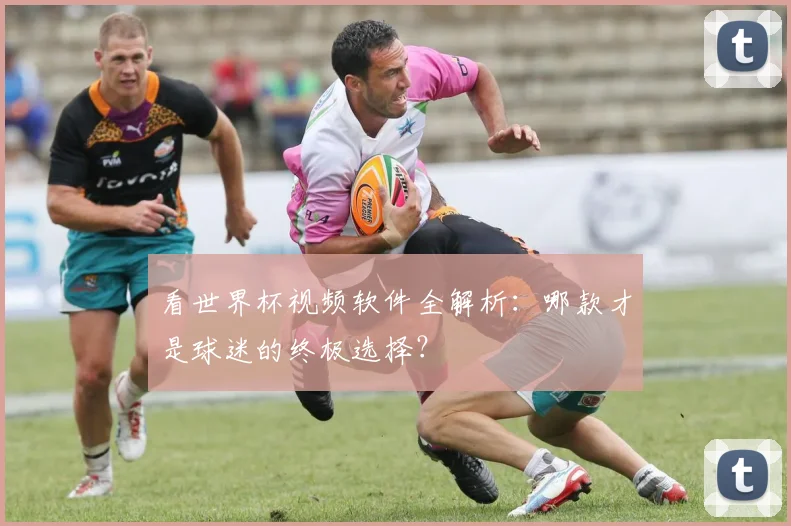 看世界杯视频软件全解析:哪款才是球迷的终极选择?