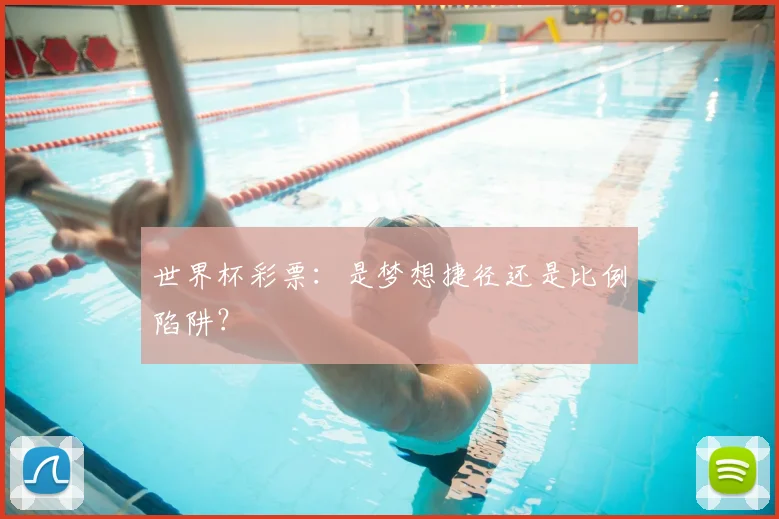 世界杯彩票：是梦想捷径还是比例陷阱？