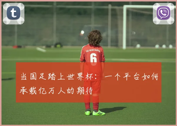 当国足踏上世界杯:一个平台如何承载亿万人的期待