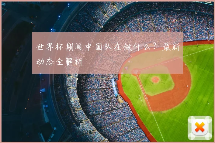 世界杯期间中国队在做什么?最新动态全解析