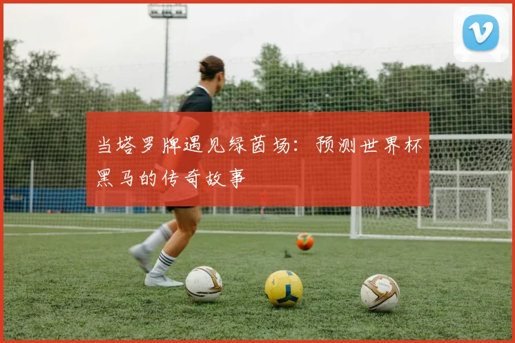 当塔罗牌遇见绿茵场:预测世界杯黑马的传奇故事
