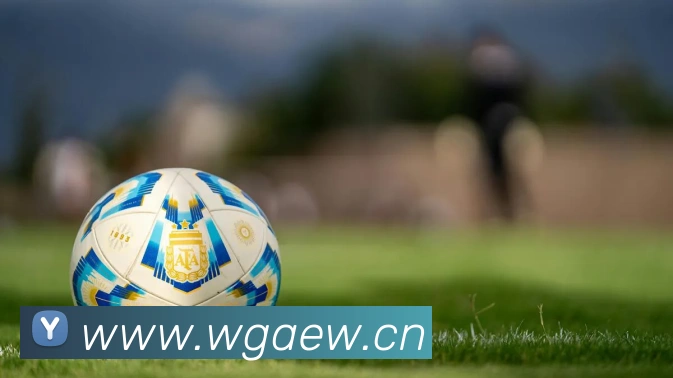 乐鱼在线登录-首页APP 封面图